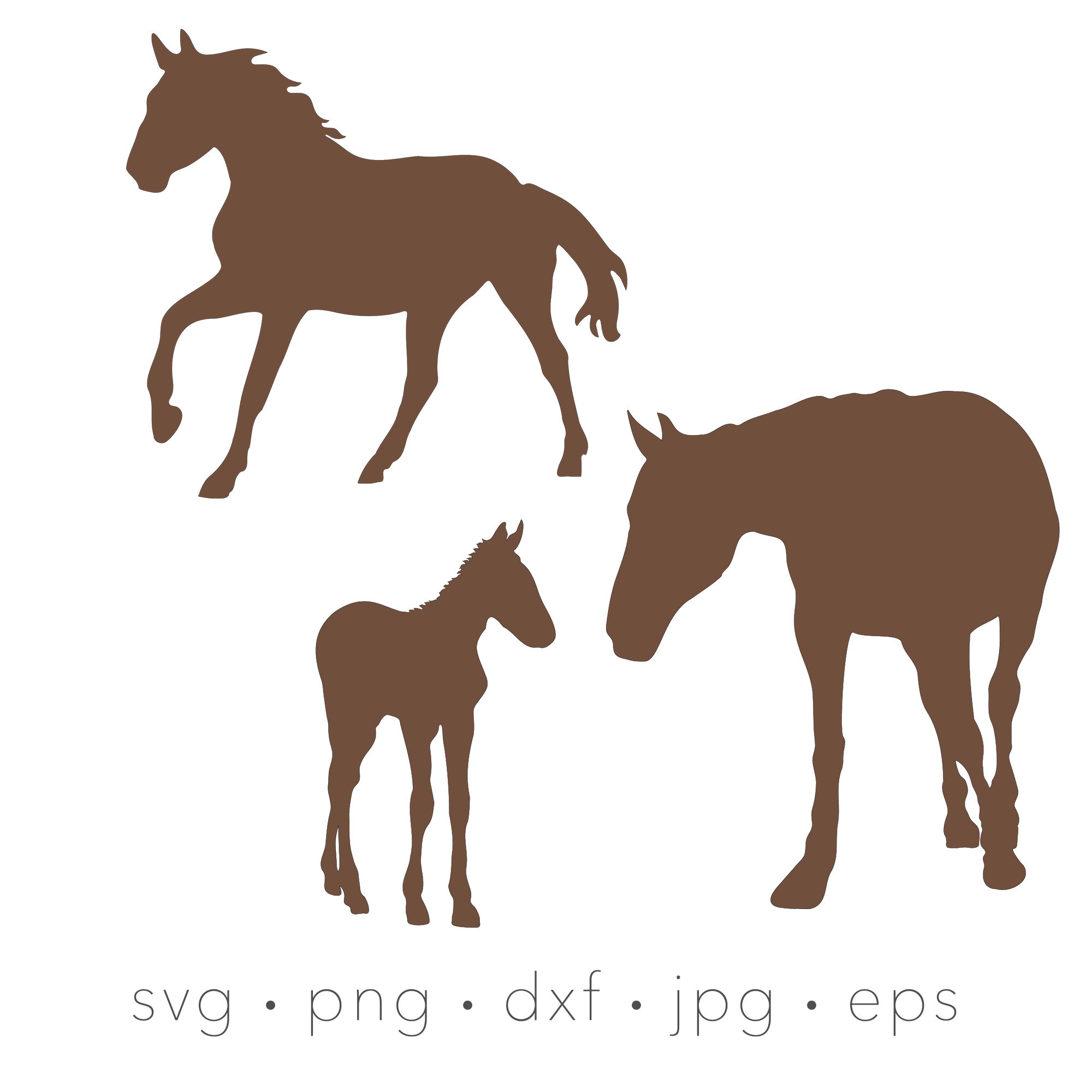 Horse SVG Horse Art Horse Png Digital Cut File for Etsy