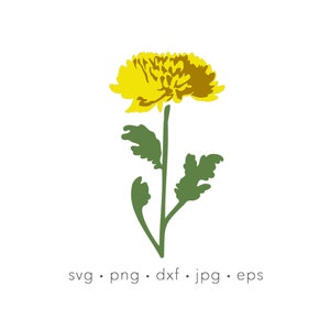 Chrysanthemum svg, November Birth month flower, Chrysanthemum flower svg,  Silhouette cut file, Cricut Cut File, layered fall flower svg
