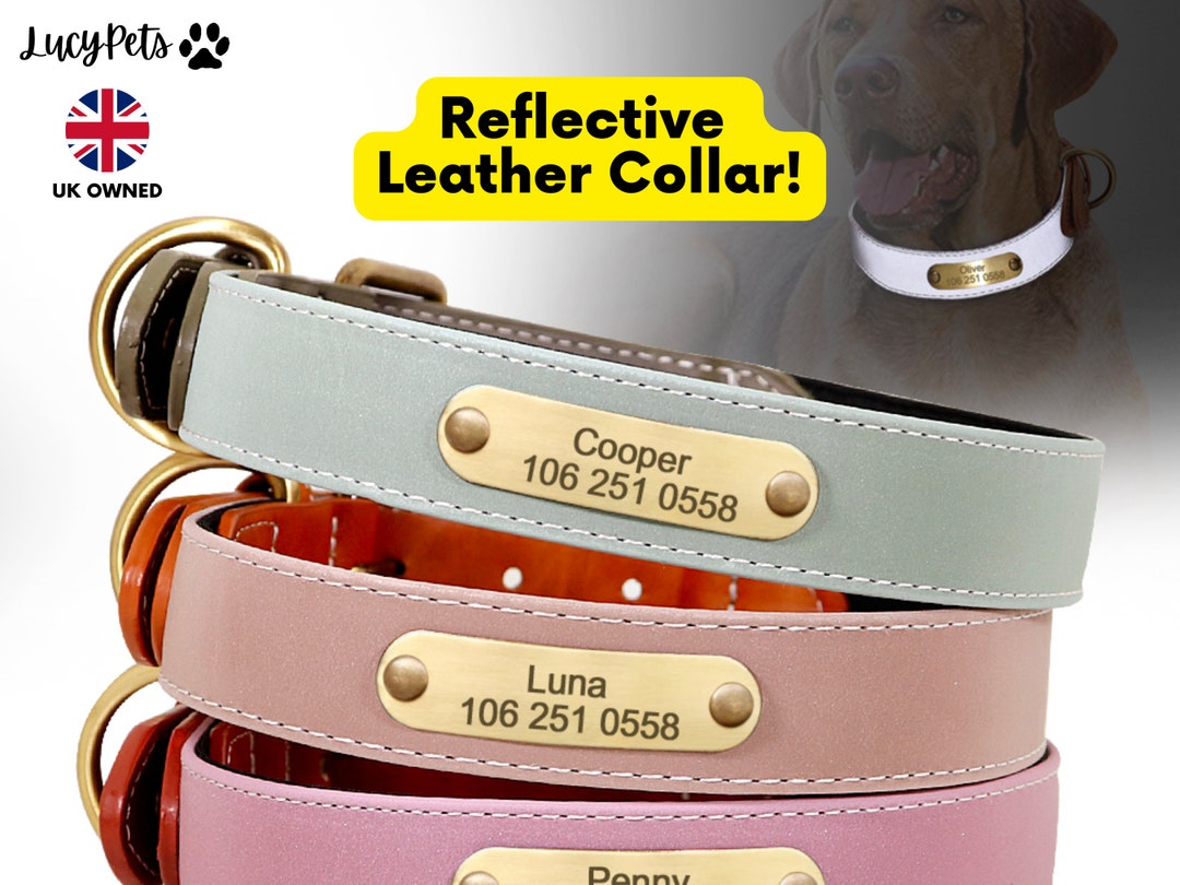 Reflective Leather Dog Collar With Name, Personalised Dog Collars