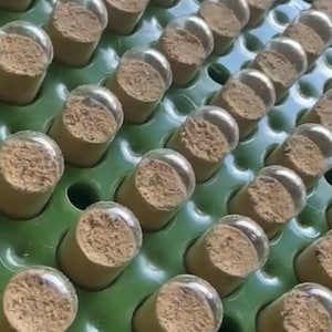 May include: A close-up shot of numerous small, cylindrical containers filled with a light brown substance, each sealed with a clear, rounded lid. The containers are arranged in neat rows on a green tray, suggesting a product display or storage.