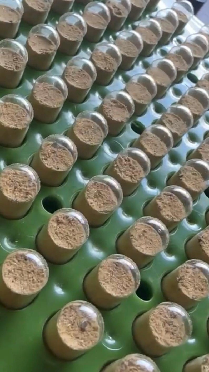 May include: A close-up shot of numerous small, cylindrical containers filled with a light brown substance, each sealed with a clear, rounded lid. The containers are arranged in neat rows on a green tray, suggesting a product display or storage.
