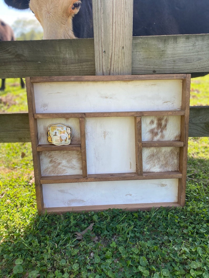 Western Belt Buckle Display Case Etsy