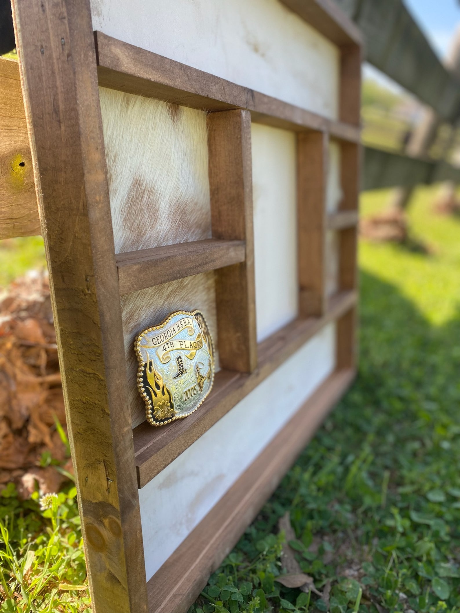 Western Belt Buckle Display Case Etsy