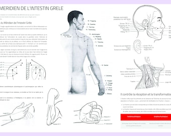 14 Acupunctuurmeridiaanoverzichtsbladen in het Frans om af te drukken in A3 jpg-formaat