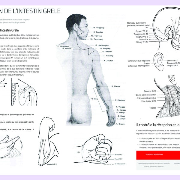 14 Fiches de Révision des Méridiens d'Acupuncture en Français à imprimer format jpg A3