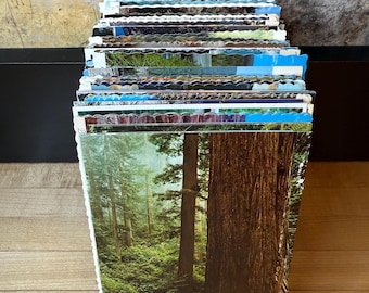 Unused Vintage Postcards of U.S. - Wildlife, Landscapes, Motels, Historical & Tourist Sites - Choose Quantity