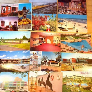May include: A collection of vintage postcards featuring various scenes including a train, a beach, a swimming pool, a cafe, a hotel, a theater performance, a diver with sponges, and sea lions, all displayed in a grid layout on a flat surface.