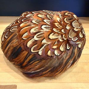Puede incluir: Un sombrero redondeado cubierto de plumas de faisán superpuestas con una paleta de colores naturales en tonos marrón, beige, crema y negro. Las plumas están dispuestas en un patrón denso y superpuesto que crea una superficie orgánica y texturizada.