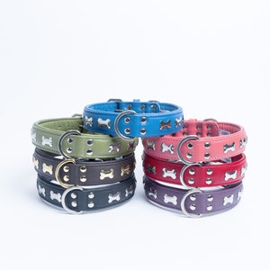 May include: A stack of colourful leather dog collars with silver bone-shaped accents. The collars are arranged in a circle, with the blue collar on top.