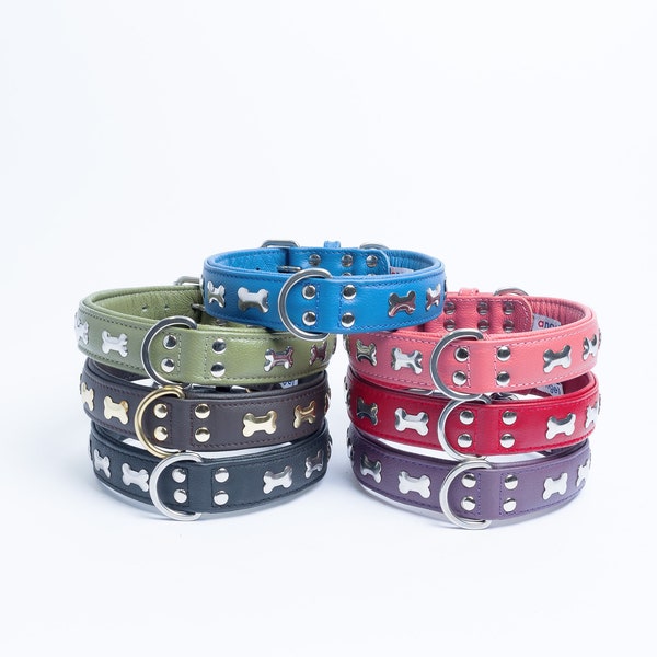 Rotterdam Bones Leather Dog Collar | Authentic