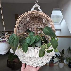 Plant basket, boho wall hanging plant display