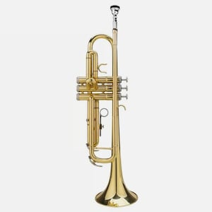 Professional Edition EES-07 Gold Bb Trumpet including Hardcase for Students & Experts