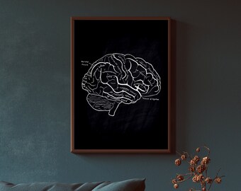 Vintage Anatomy Print | Muscle & Skeleton Art (Digital Download)