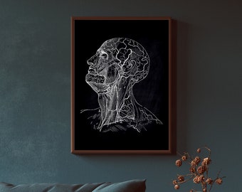 Vintage Anatomy Print | Medical Chalkboard Art (Digital Download)