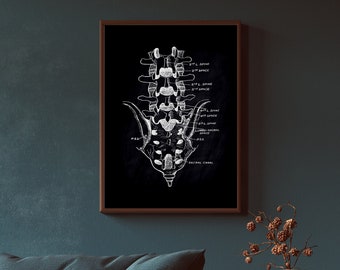 Vintage Anatomy Art Print | Medical Skeleton Poster (Digital Download)