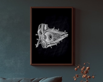 Vintage Anatomy Art Print | Chalkboard Medical Poster (Digital Download)