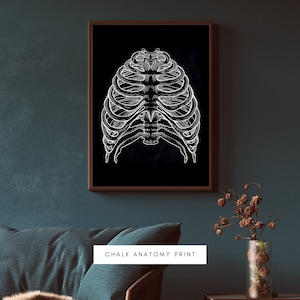 Human Anatomy Artworks | Medical Wall Pictures | Muscle Skeleton Vintage Posters | Anatomy Prints | Education Paintings | Wall Decor