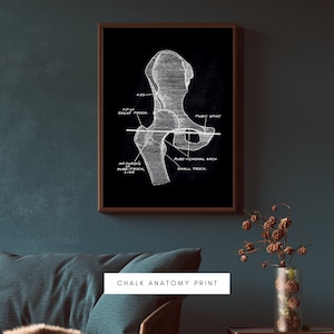 Human Anatomy Artworks | Medical Wall Pictures | Muscle Skeleton Vintage Posters | Anatomy Prints | Education Paintings | Wall Decor