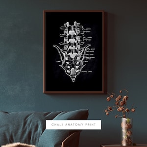 Human Anatomy Artworks | Medical Wall Pictures | Muscle Skeleton Vintage Posters | Anatomy Prints | Education Paintings | Wall Decor