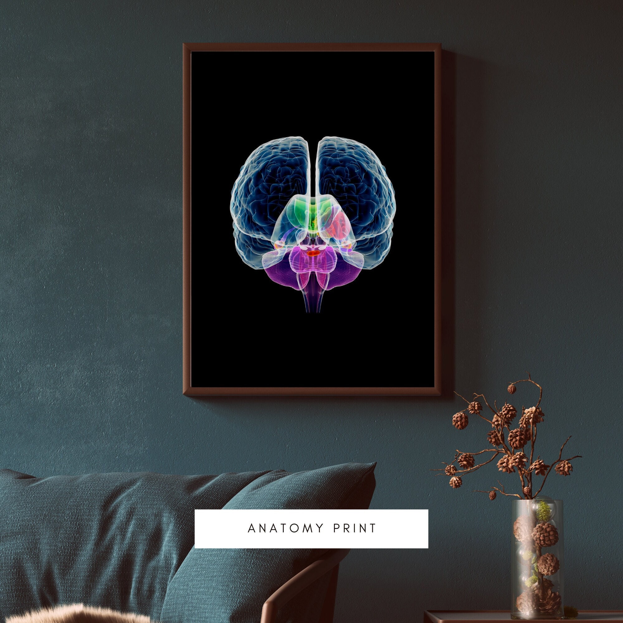 Human Brain Anatomy Art Print | Medical Wall Decor (digital Download ...