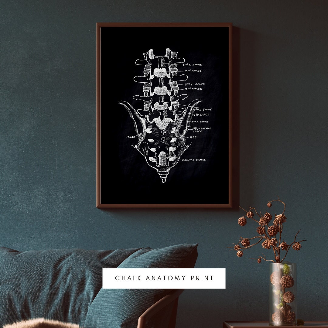 Vintage Anatomy Art Print | Medical Skeleton Poster (digital Download ...