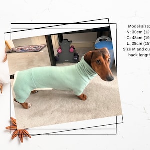 Wiener Dog Woof Woof Dachshund Pattern Print Women Long Robe