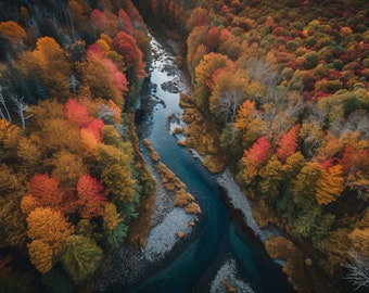 Paysage automnal : forêt luxuriante avec vue sur la rivière sereine | Téléchargement numérique | Art mural feuillage d'automne | Décoration d'intérieur | Art Naturel | Paysage saisonnier