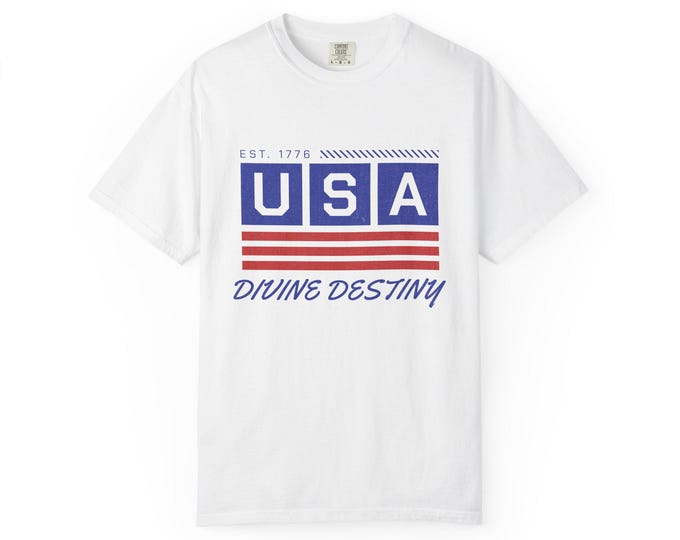 USA flag graphic T-shirt | Garment-dyed