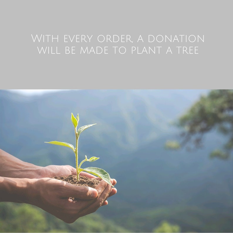 May include: A person's hands holding a small green plant with dirt around the roots. The background is a blurry image of a mountain range.
