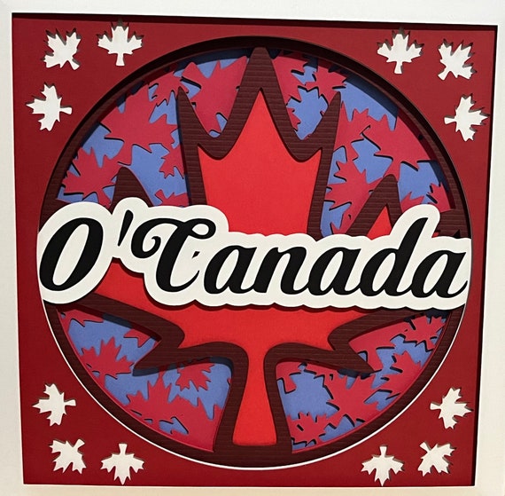 カナディアン 3Dアート シャドーボックス カナダ州花 レア 新品 豪華額付