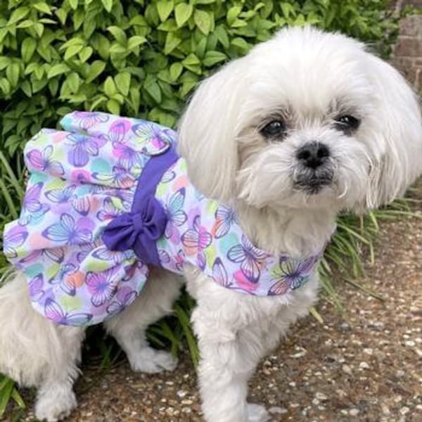 Mariposa Púrpura- Vestido de arnés de primavera con correa a juego- Vestido de diseño de primavera para mascotas