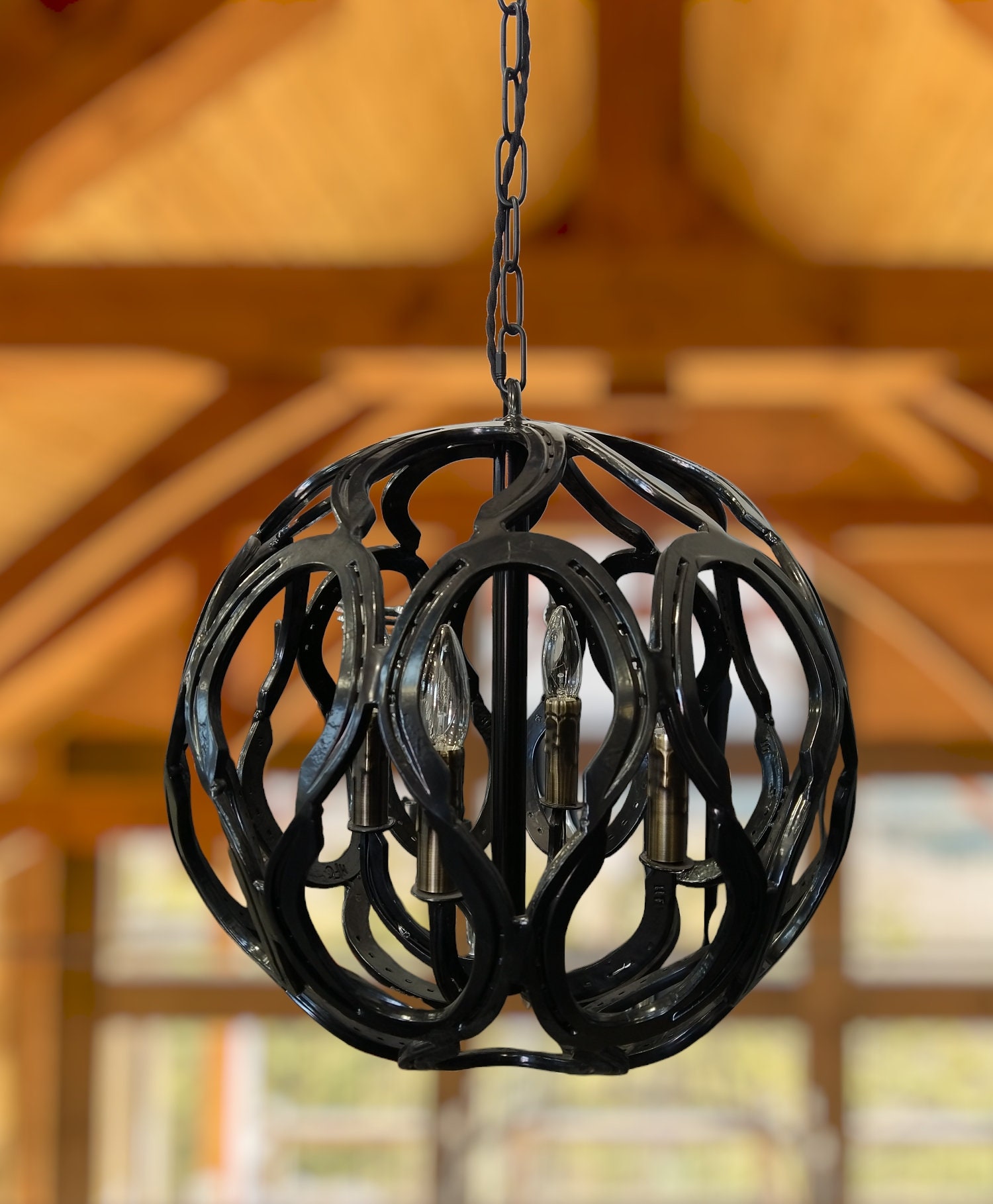 Horse shoe chandelier (18 inch)