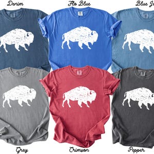 May include: Six short-sleeved crew neck t-shirts in denim, flo blue, blue jean, grey, crimson, and pepper colors. Each shirt features a white, distressed-style graphic print of a buffalo in the center. The shirts are arranged in two rows.