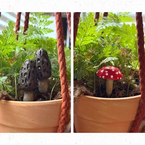 Mushroom Pot Pal - Plant Pot Accessory