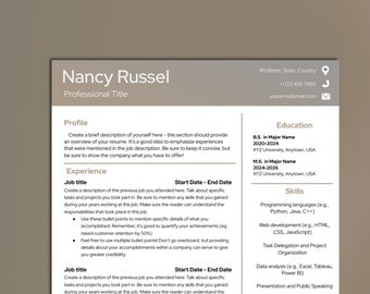 Professional Resume Template, Resume Template Google Docs CV Template Google Docs, CV Template, One Page and Two Page Template