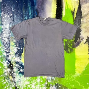May include: A plain gray t-shirt with short sleeves and a crew neck.