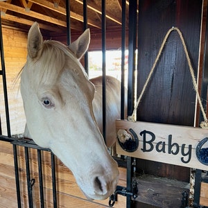 Horse Stall Name Plate, Horse Stall Sign, Rustic Wood Sign, Horseshoe Stall Sign, Wooden Sign, Name Sign, Personalized Horse Stable Sign image 9