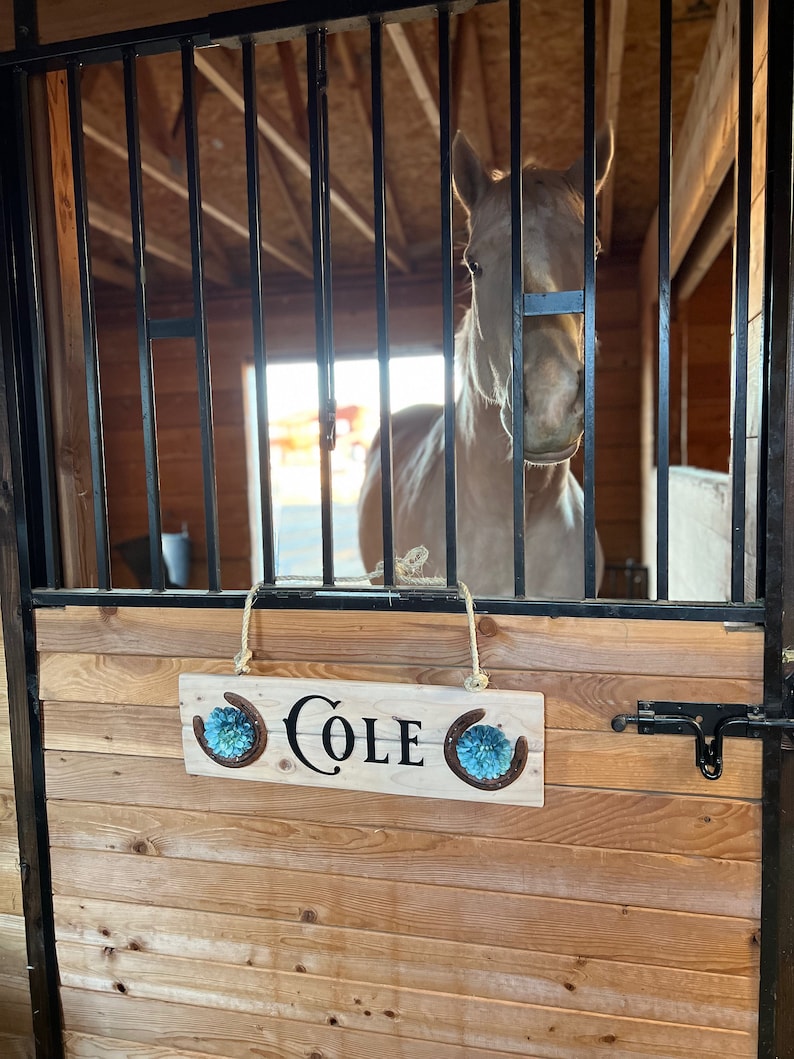 Horse Stall Name Plate, Horse Stall Sign, Rustic Wood Sign, Horseshoe Stall Sign, Wooden Sign, Name Sign, Personalized Horse Stable Sign image 7