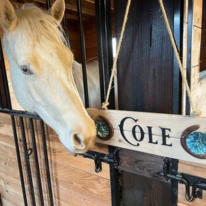 Horse Stall Name Plate, Horse Stall Sign, Rustic Wood Sign, Horseshoe Stall Sign, Wooden Sign, Name Sign, Personalized Horse Stable Sign image 4