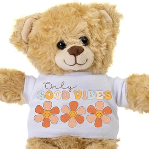 Teddy Bear Gift, Only Good Vibes, Breast Cancer Gift, Fight Cancer, Plush Stuffed Bear, Get Well Cancer, Retro design