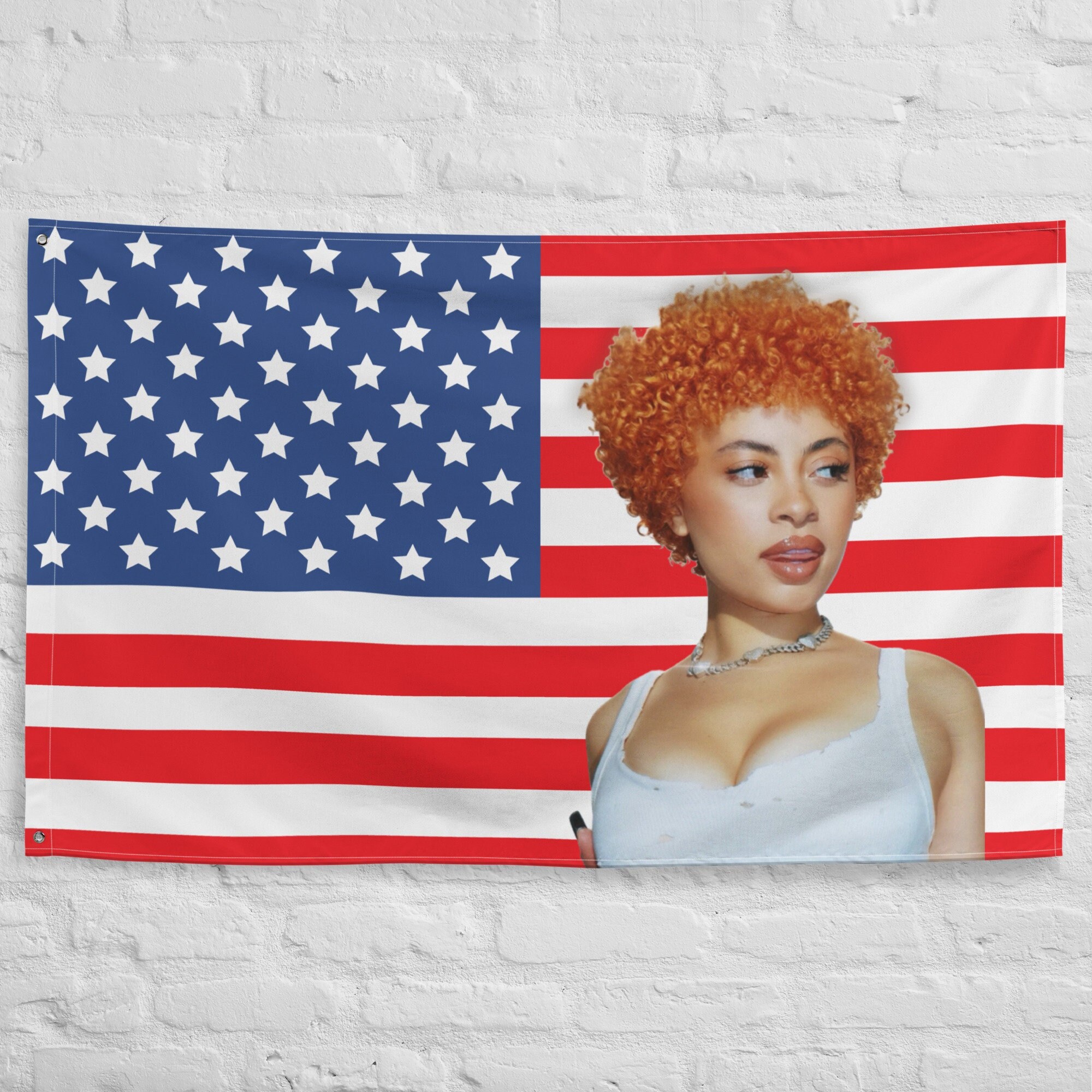 Ice Spice American Flag Viral Tiktok Flag Gift 34.5 X Etsy