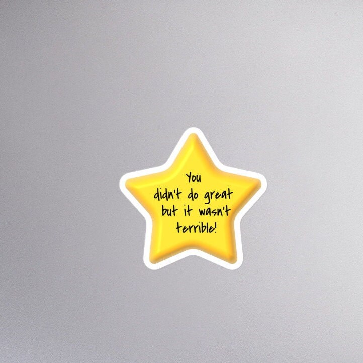 Gold Star Stickers, Adulting Reward Stickers, Novelty Gift, Vinyl Stickers,  Gag Gift, Funny Stickers, College Student Gift, Gift for Husband 