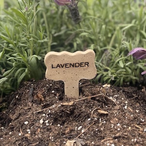 May include: A beige ceramic garden marker with the word "LAVENDER" in dark letters. The marker is in the soil, surrounded by green plants and purple flowers. The marker has a textured surface and a unique shape.