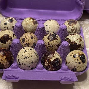 Quail eggs - 3 dozen