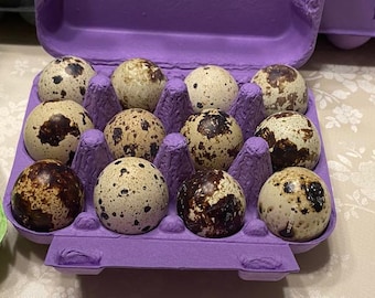 Fresh Quail eggs - 1 dozen