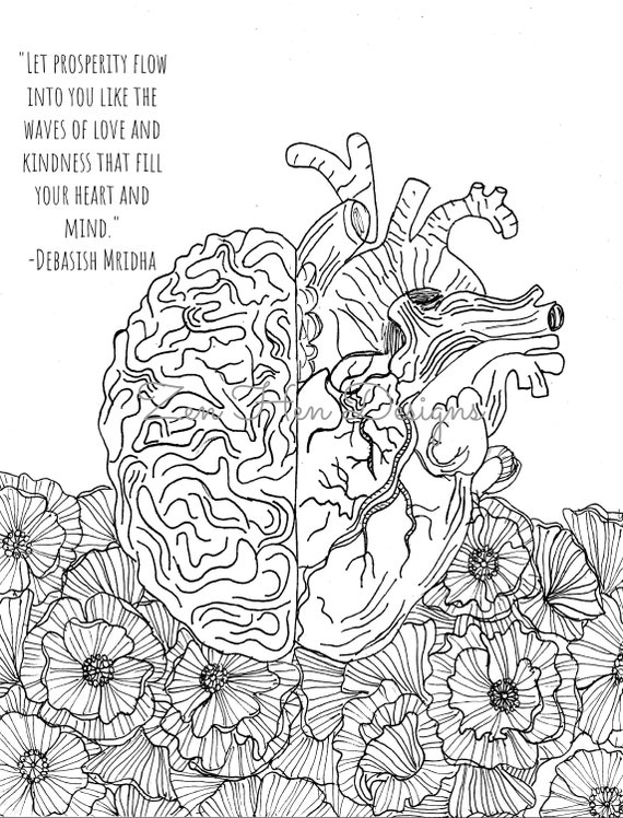 heart anatomy coloring page