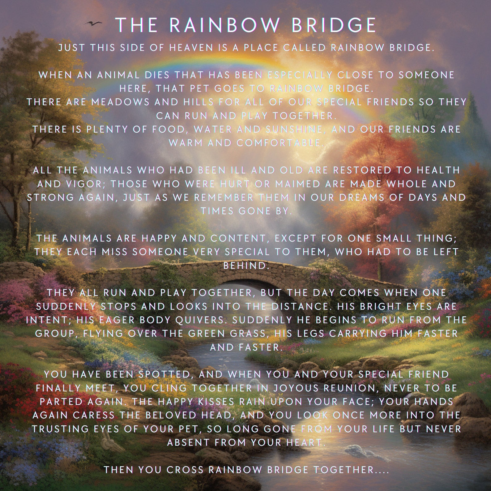 Rainbow Bridge Pet Eorial Gifts - Cat Eorial Gifts - Loss Of Cat