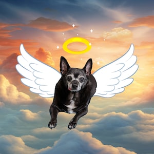 Create a Loving Memory - Pet Memorial Animal Heaven Cloud Backgrounds