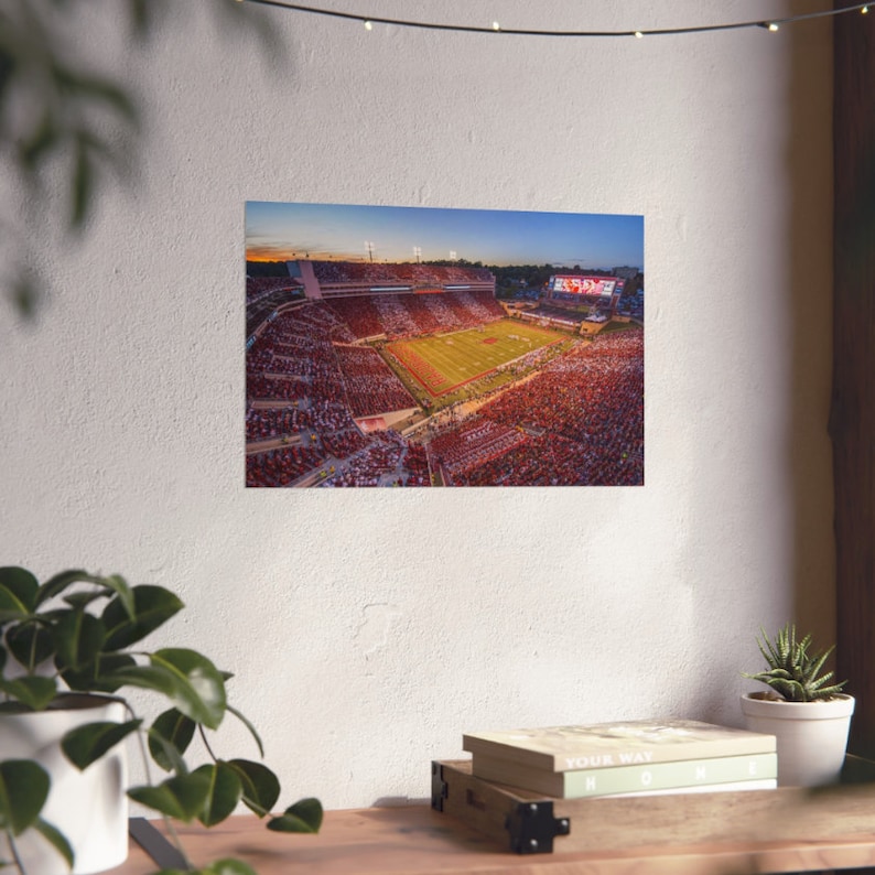36x24 Arkansas Razorback Stadium Posters, Football Poster Gift Idea for ...