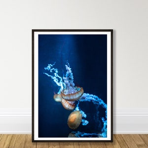 Jellyfish in the Deep Ocean Print - Wall Art for Living Room or Beach House - Underwater Photography - Digital Download - Coastal Home Decor